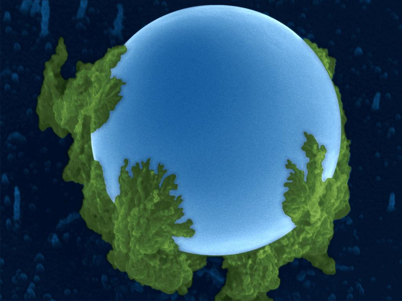 Illustration for article titled 27 Amazing Images From the Depths of Scientific Labs